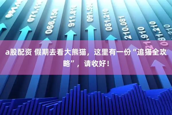 a股配资 假期去看大熊猫，这里有一份“追猫全攻略”，请收好！